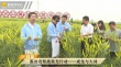 脫貧攻堅戰(zhàn)星光行動 成龍大同下鄉(xiāng)與農(nóng)民親密接觸