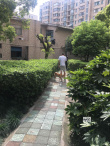 賣慘？紀(jì)凌塵分手后首現(xiàn)身 牽愛犬出街面容憔悴