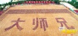《大師兄》“打進武?！?三萬師弟列陣拜會甄子丹