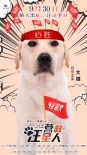 《营救汪星人》发布主题海报 狗狗“裸体出镜”