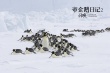 帝企鵝日記2：召喚