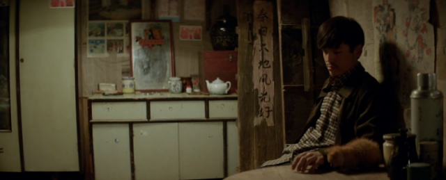 谁说中华田园猫不可爱的，萌死人惹