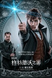 《神奇动物》发黑暗降临版预告 邓布利多遭受盘问