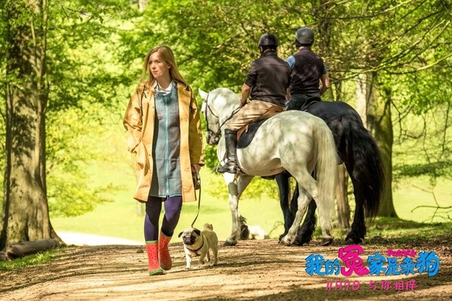 《我的冤家是条狗》再曝预告 当佛系女遇上心机狗