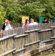 王思聪日本被偶遇 校长吃完热狗陪女友逛环球影城