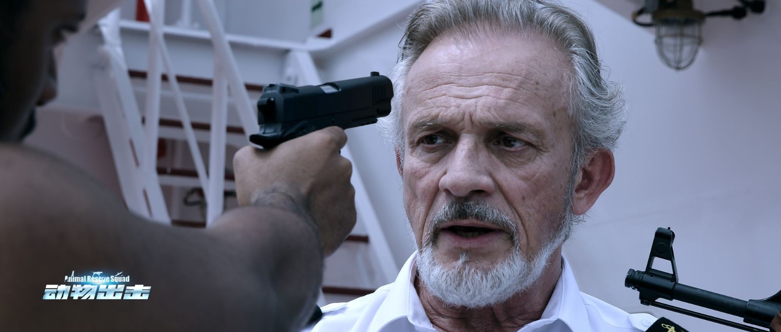 《动物出击》首曝定档海报 大年初一萌宠集结_华语_电影网_1905.com