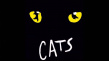 舞台剧《猫》影版开拍 詹姆斯·柯登饰演富贵猫