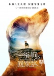 《一条狗的回家路》曝预告 贝拉横跨四季为爱归来