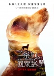 《一条狗的回家路》曝预告 贝拉横跨四季为爱归来