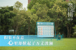 林依晨力挺《一吻定情》：林允很适合,王大陆惊喜