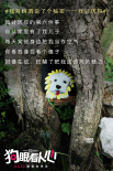 《狗眼看人心》曝树洞画 揭秘养狗人士的7个秘密