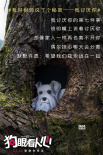 《狗眼看人心》曝树洞画 揭秘养狗人士的7个秘密