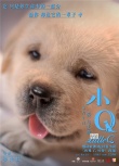 《小Q》海报萌力升级融化偏见 人狗相守动人催泪