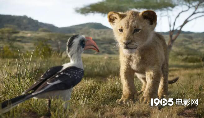 《狮子王》背后的故事 开创VR拍摄复刻非洲草原(图1)