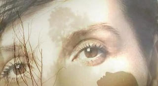 是枝裕和新作《真相》成为威尼斯电影节开幕片_欧洲_电影网_1905.com