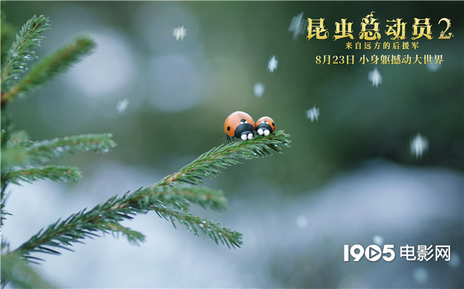 《昆虫总动员2》推广曲上线 8.23化身最萌冒险家