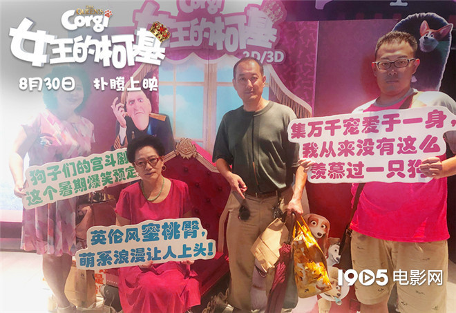 《女王的柯基》引7城“吸狗”狂潮 柯基萌翻全场
