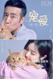 徐峥监制电影《宠爱》首曝演员阵容 定档12月31日