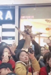 被迫追星！ 粉絲為吸引劉昊然注意力當眾舉柴犬