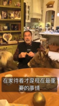 施瓦辛格呼吁不要外出！爱宠小马小驴被“锁喉”