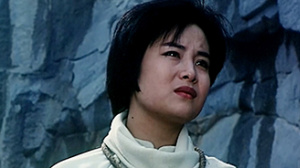 楊開慧