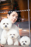 愛犬也要有！除了聲音商標(biāo)李佳琦為奈娃申請商標(biāo)