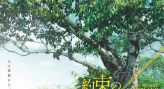 《约定的梦幻岛》发布新海报《白夜行》导演操刀