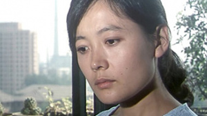 无声的雨丝