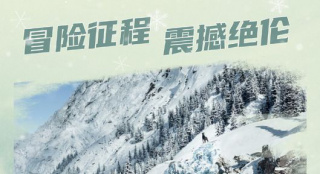 《野性的呼唤》内地公映 灵犬巴克勇闯冰雪荒原