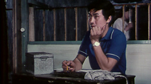 南方的岸