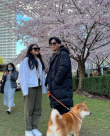 陈坤儿子晒与美女合照 同站樱花树下引恋情猜测