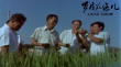 纪录电影《岁月在这儿》热映 曾荣获金鸡奖提名
