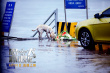 忠犬流浪记