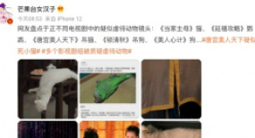 于正《当家主母》陷入虐猫“罗生门”：当影视剧遇上“动物保护主义”？