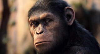 新版《人猿星球》曝拍摄计划 有望于年底开机拍摄