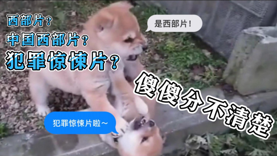 【老鸟随意侃】西部片？犯罪片？傻傻分不清楚