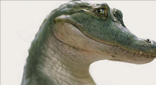 电影《鳄鱼莱尔》公布新映期提前至10月7日上映