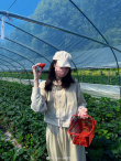 草莓少女！迪丽热巴分享采摘美照 开心炫耀超可爱