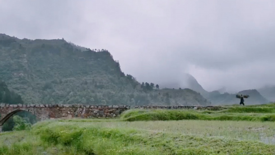 提起春天你会想到什么？