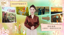 1905影视频：电影世界春暖花开