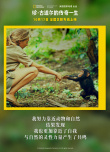 《珍·古道爾的傳奇一生》上映 展現(xiàn)女科學(xué)家傳奇