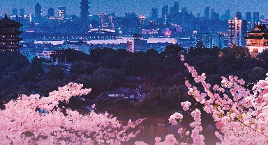 湖北电影日志·华夏楚韵