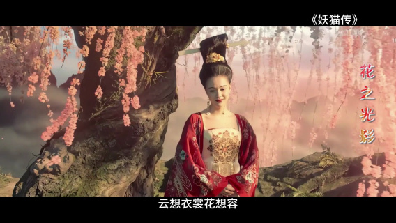 电影中的花有千万种姿态