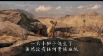 迪士尼新《狮子王》的前传性质新片《狮子王：木法沙传奇》曝预告