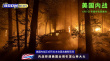 電影《美國(guó)內(nèi)戰(zhàn)》定檔6月7日 白宮陷入戰(zhàn)爭(zhēng)硝煙