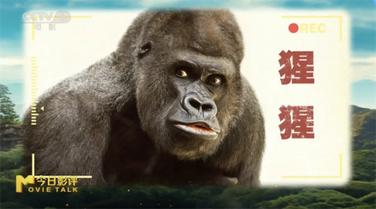 猩猩能主宰地球吗?科学角度看《猩球崛起:新世界》