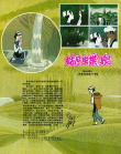 蝴蝶泉