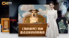 1905影視頻：《狗的審判》熱映 盤點出彩的動物角色