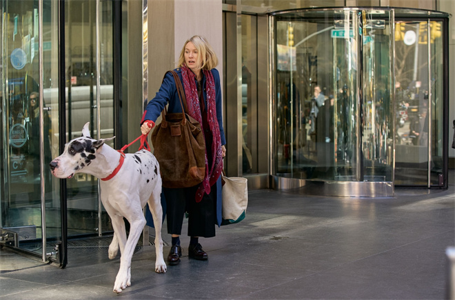 狗狗治愈人心 娜奥米·沃茨新片《挚友》公布预告