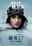 编号17
